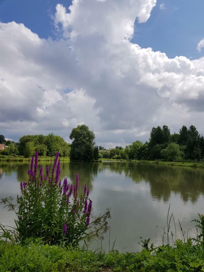 Affittacamere Na Stawach Stryszow Esterno foto